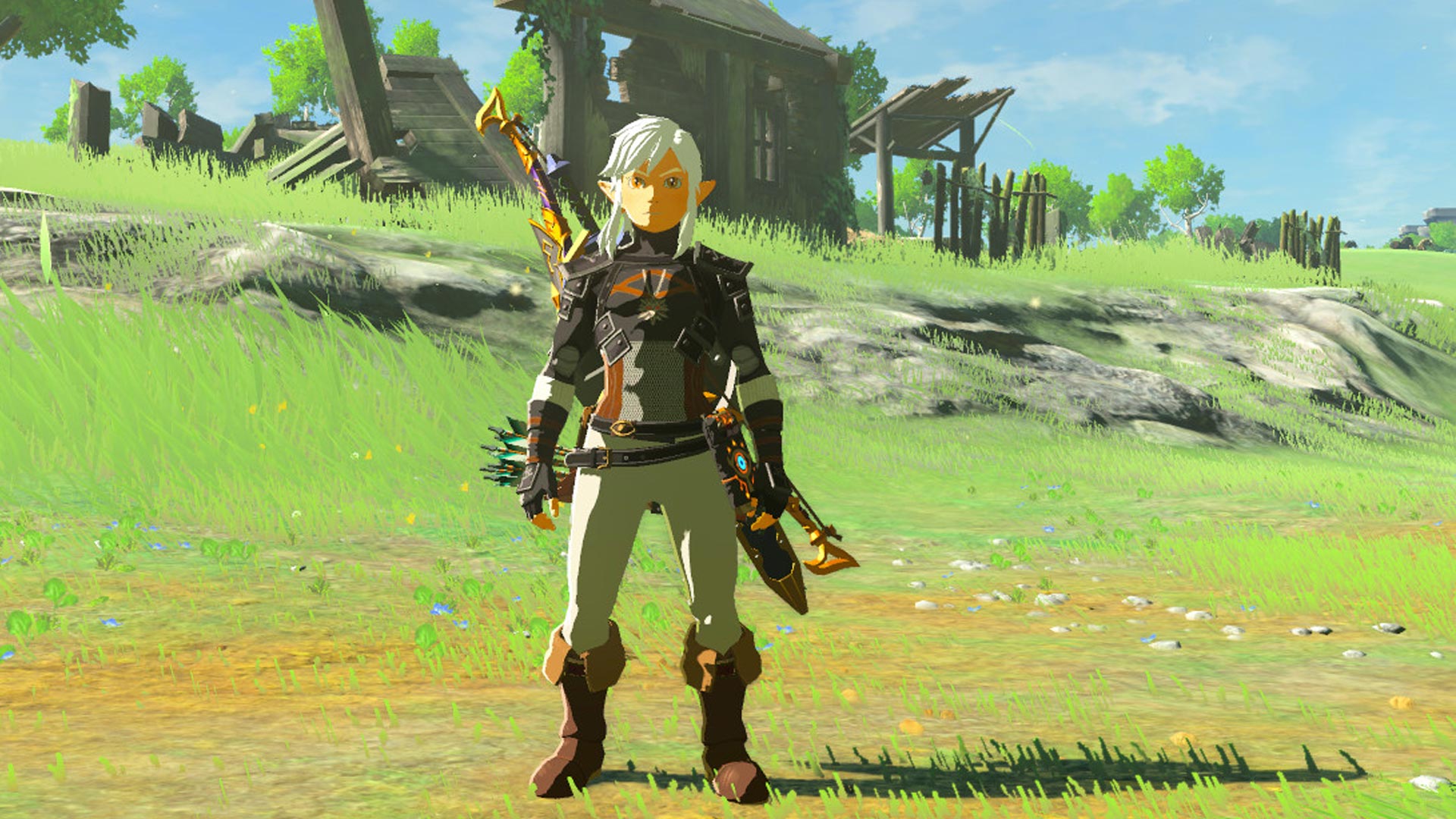 The Legend of Zelda: Breath of the Wild The Witcher Mod