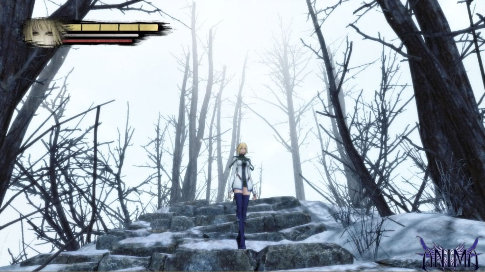 Anima: Gate of Memories Screenshot
