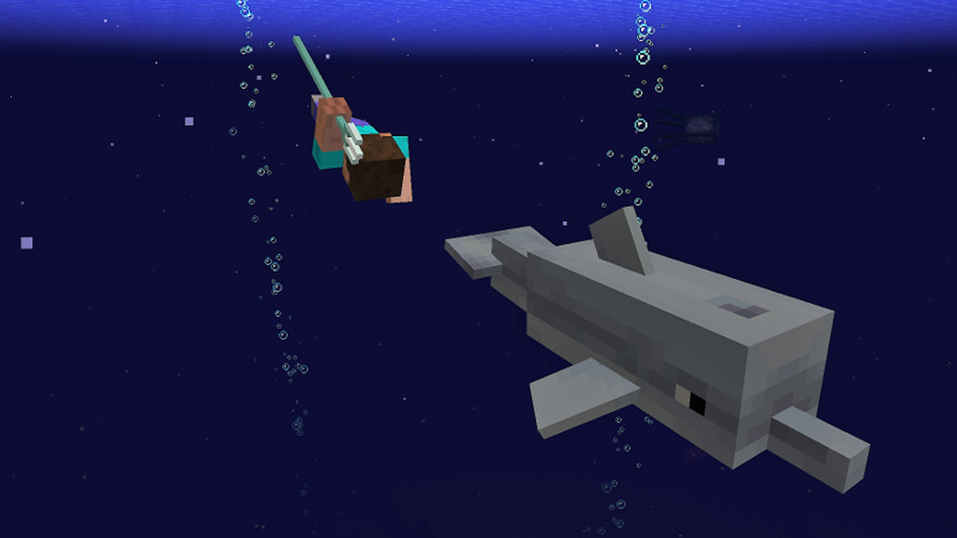 Minecraft Aquatic Update Dolphin