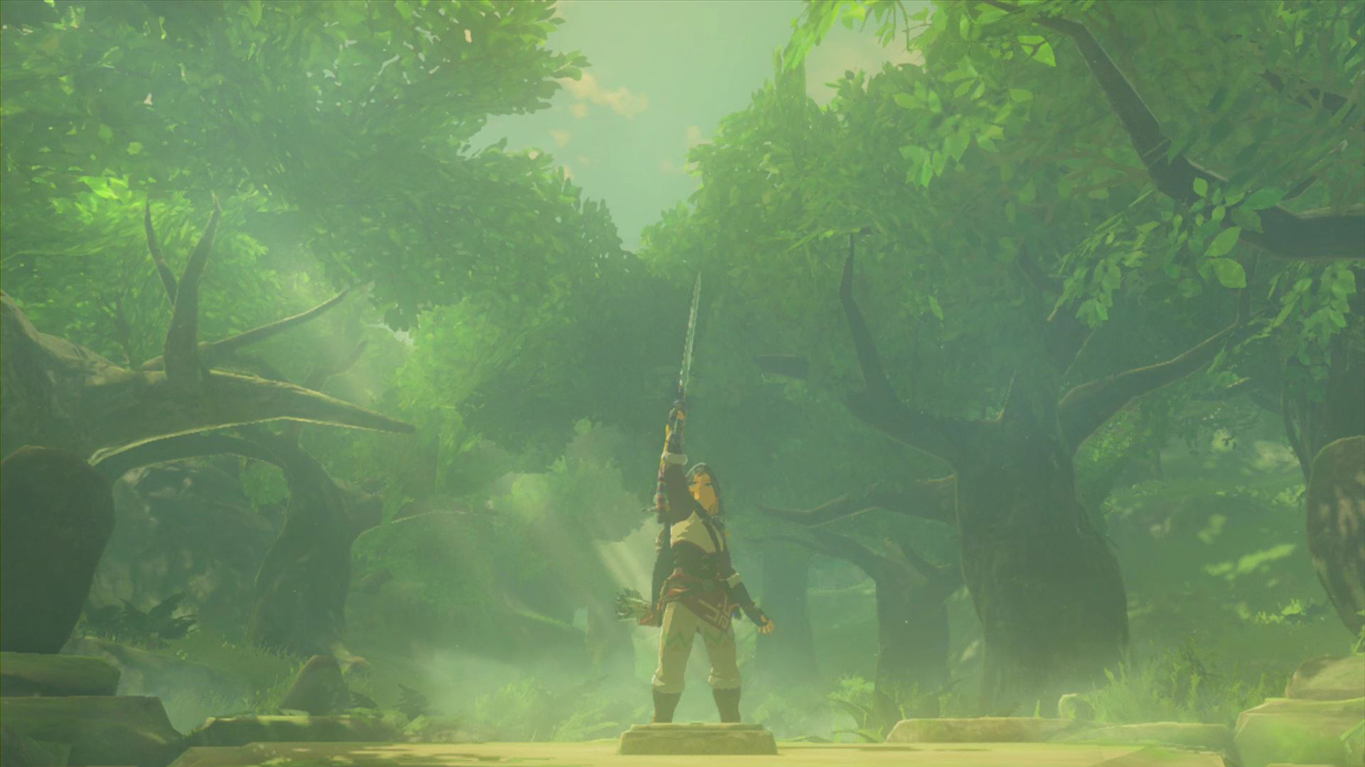 The Legend of Zelda: Breath of the Wild Screenshot Master Sword