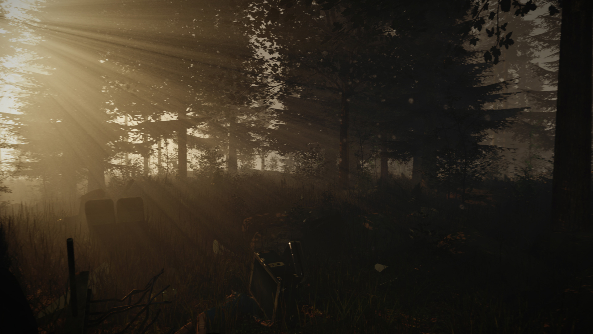 The Forest Screenshot Wreckage