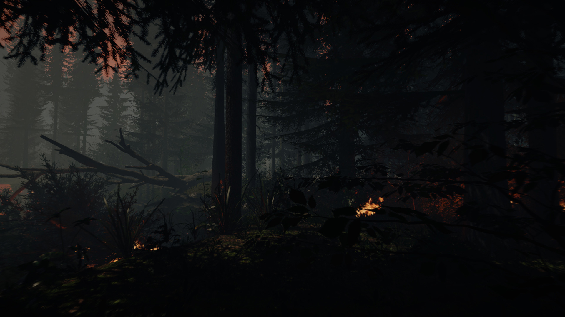 The Forest Screenshot Burnt Forest