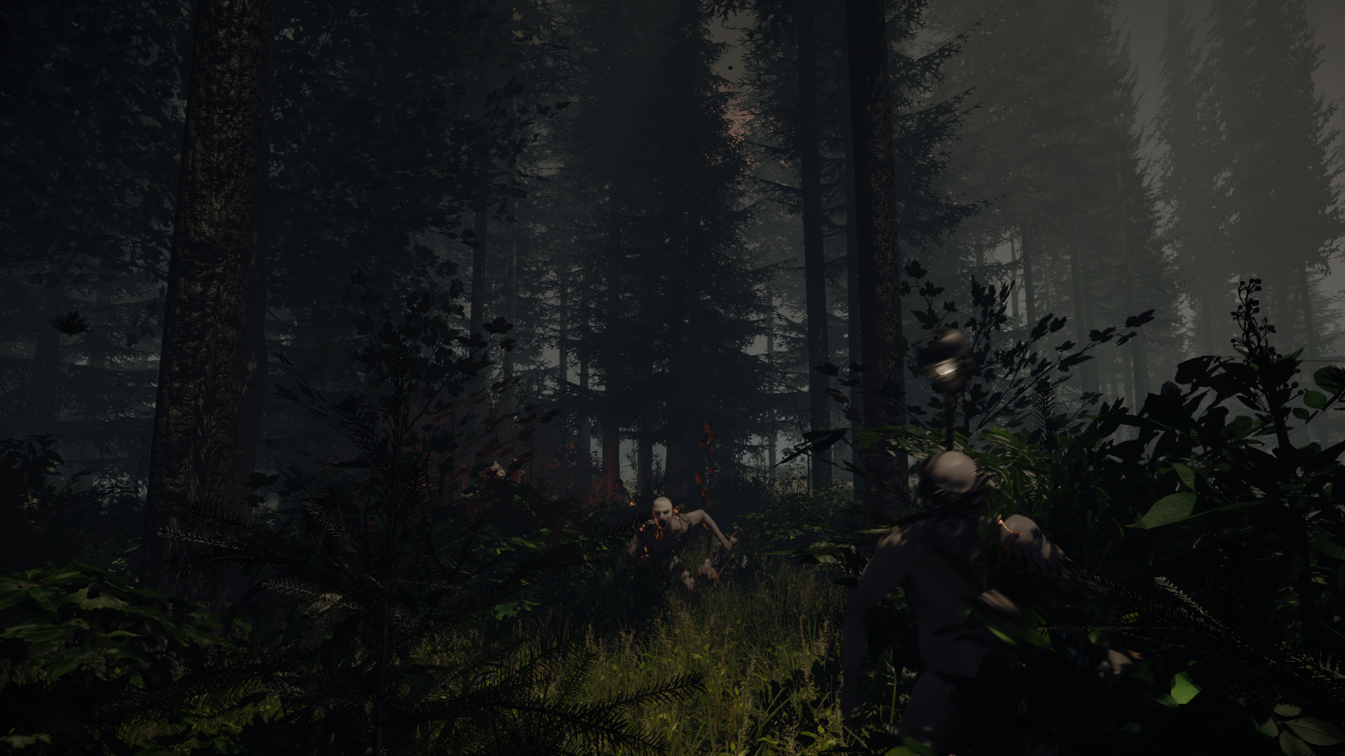 The Forest Screenshot Cannibal Chase