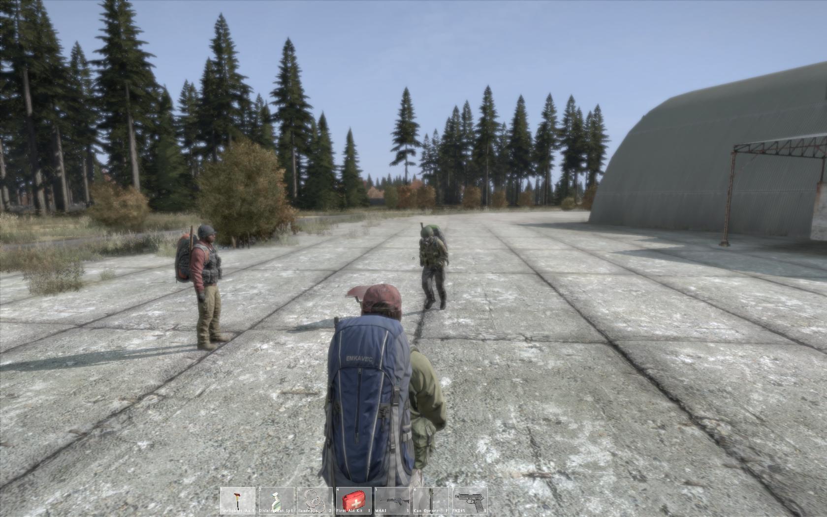 My Friends and I, in Military Gear in DayZ