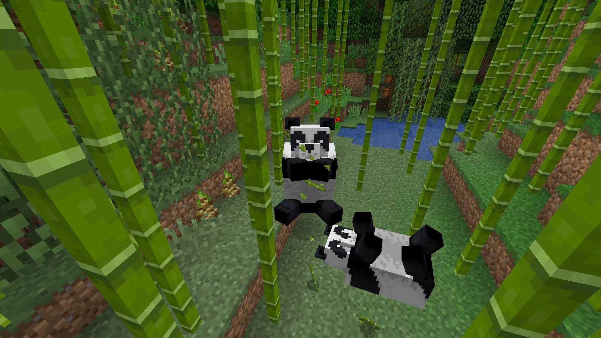 Minecraft How to Tame Pandas and Breed Them - Gamerheadquarters